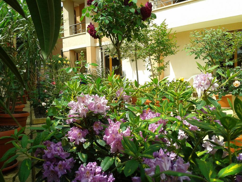 Hotel Chuchulev Szozopol Kültér fotó